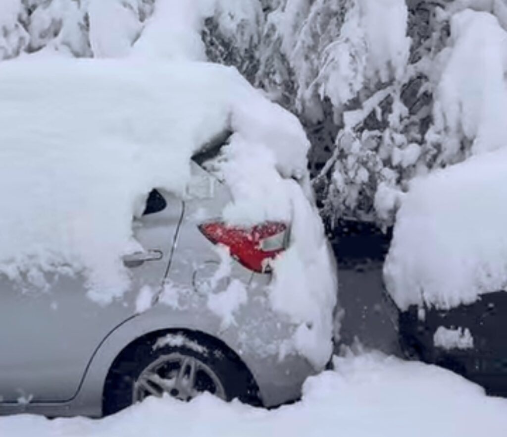 Neve Reykjavík