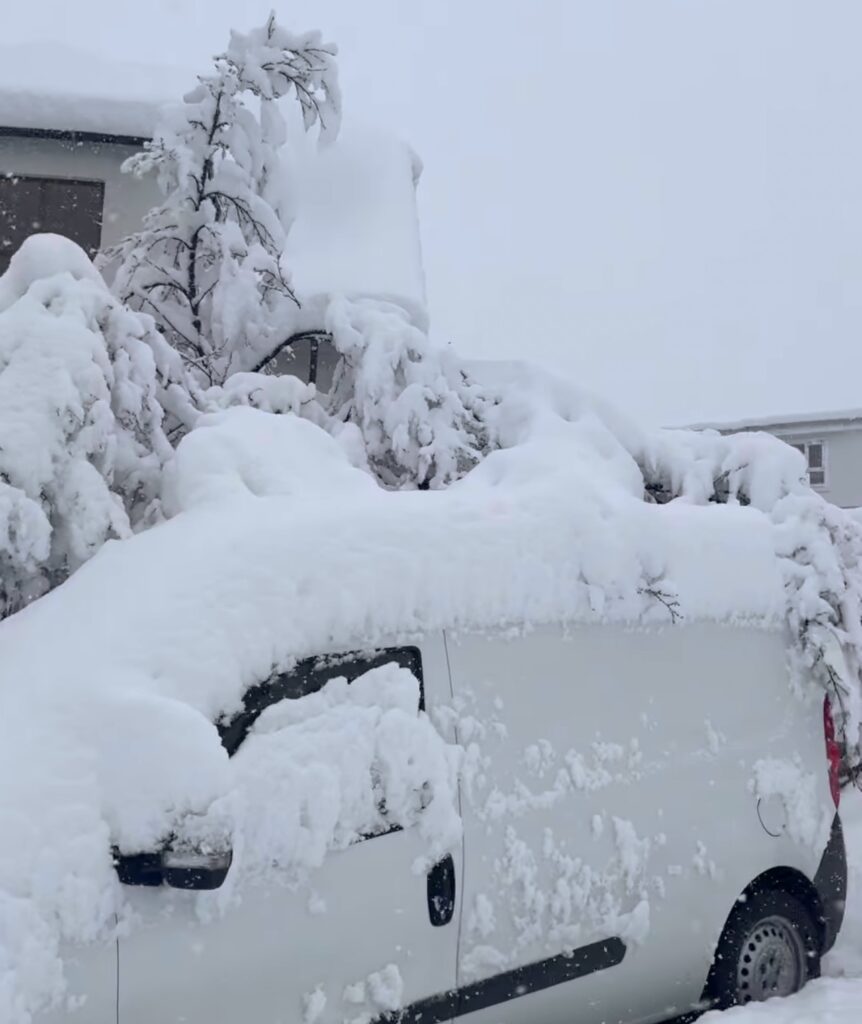 Neve Reykjavík