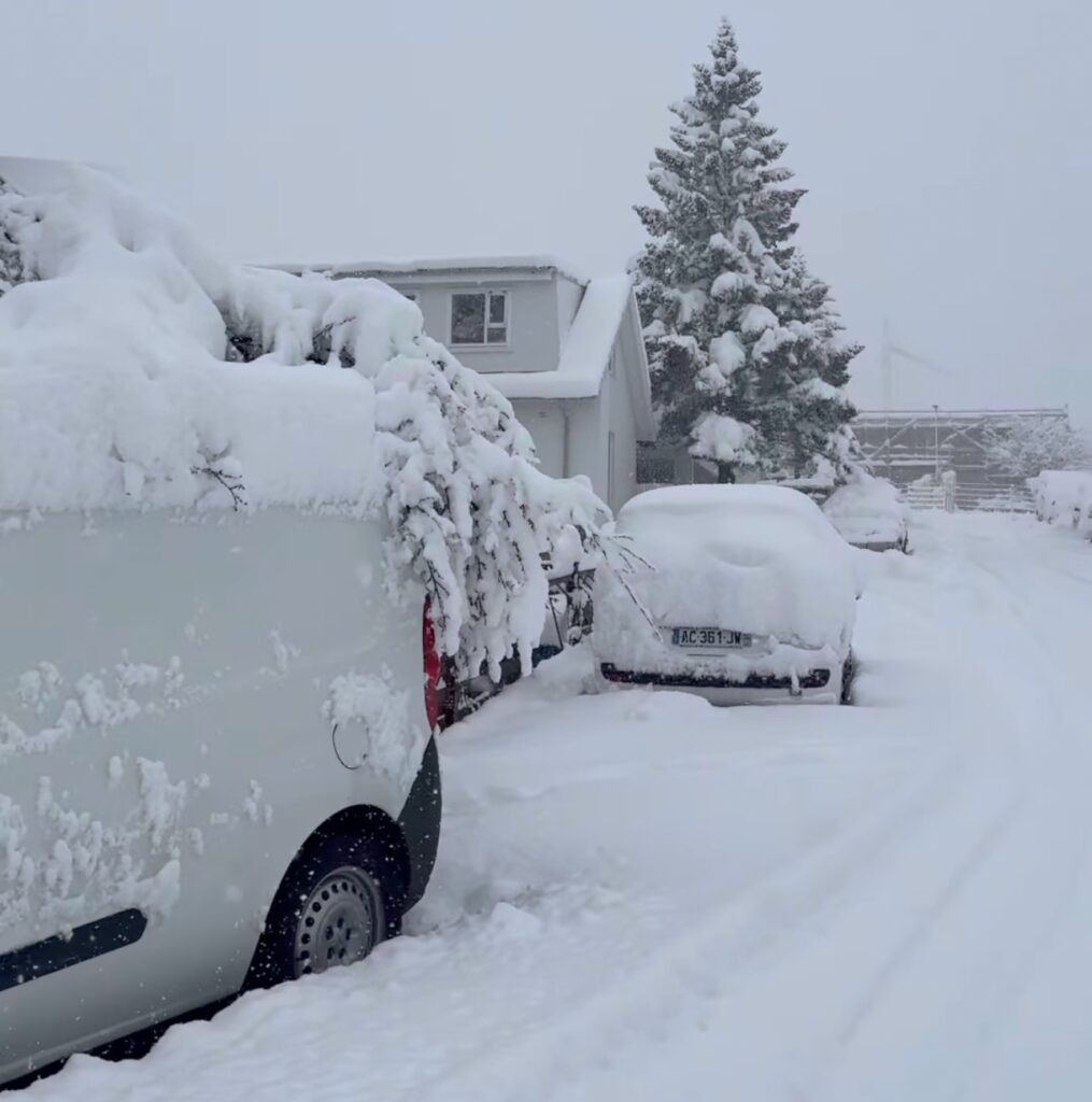 Neve Reykjavík
