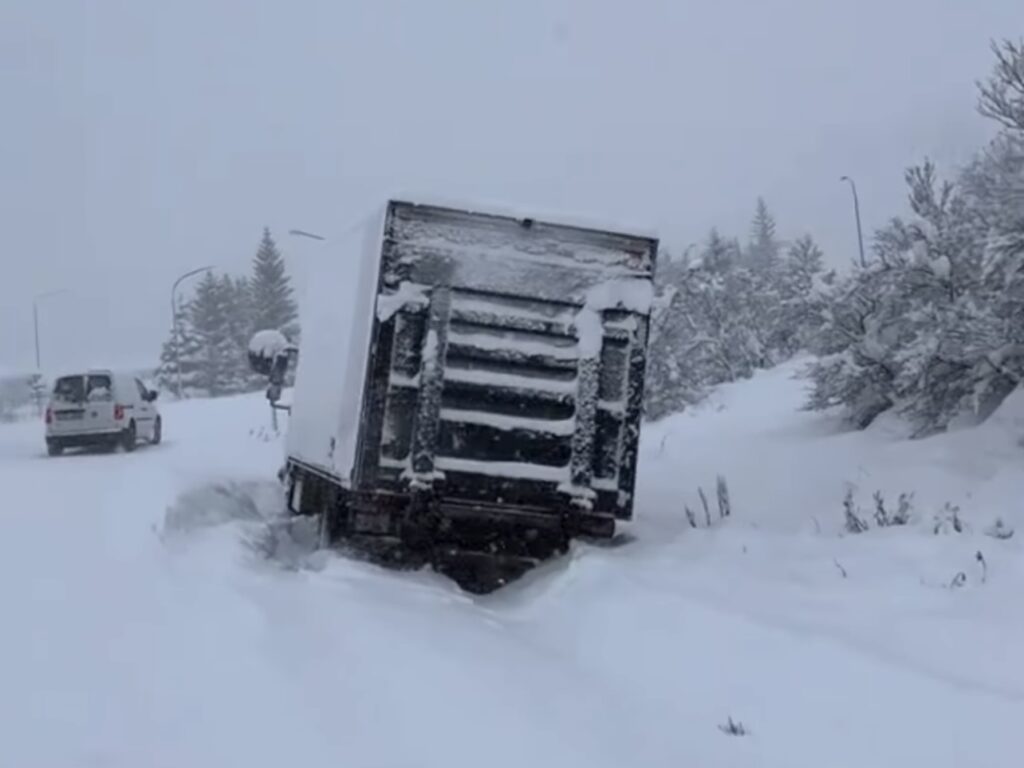 Neve Reykjavík
