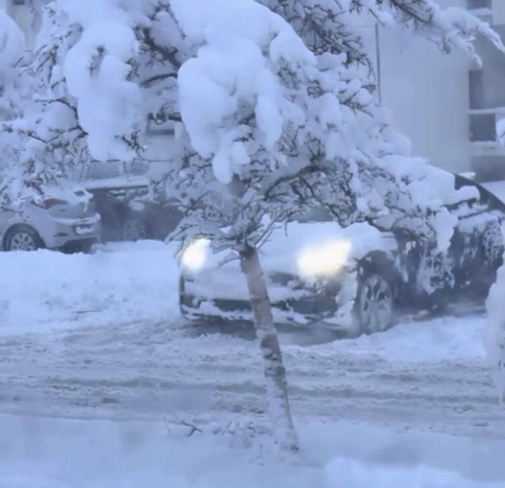 Neve Reykjavík