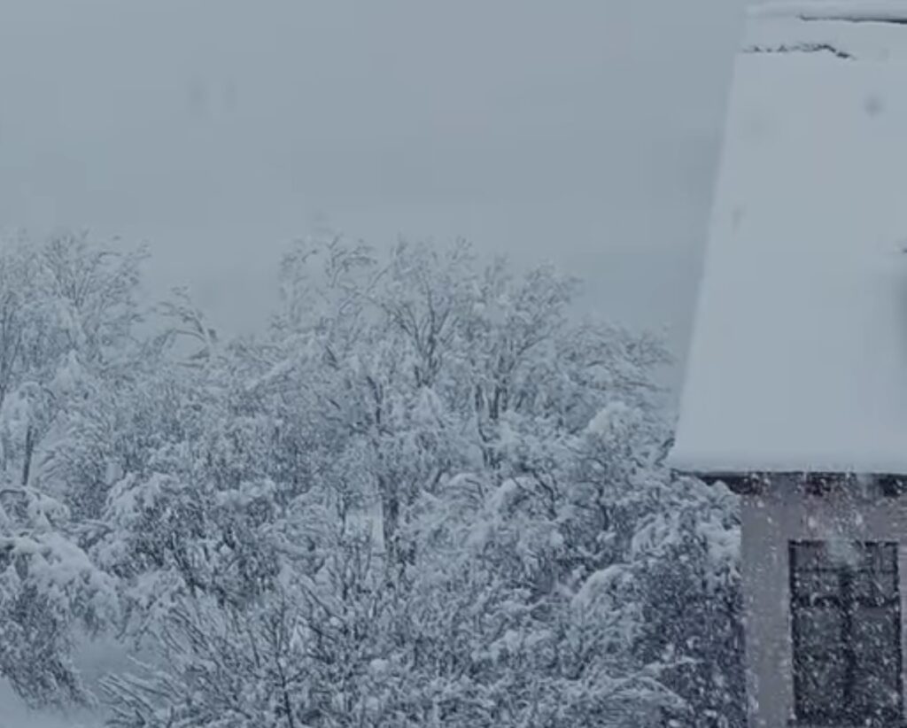 Neve Reykjavík