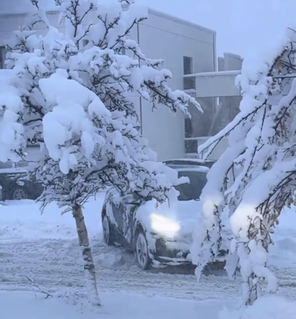 Neve Reykjavík