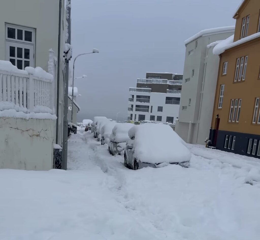 Neve Reykjavík