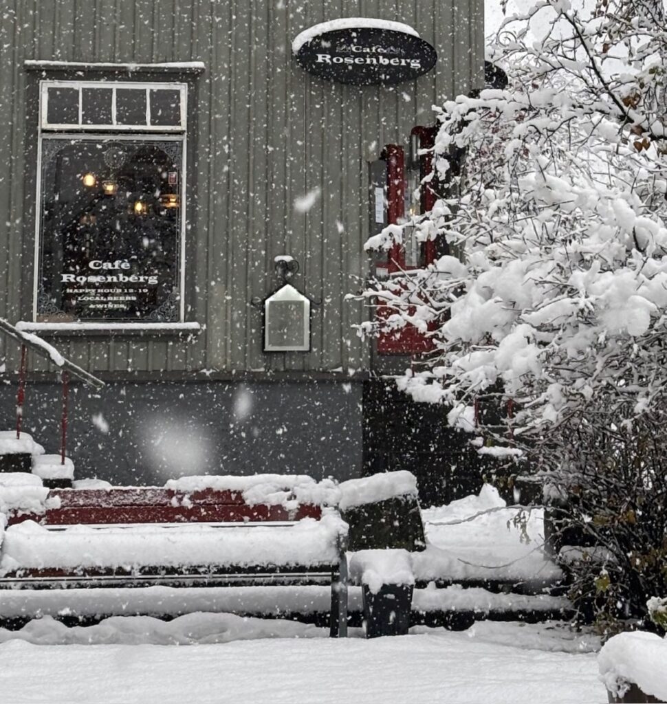 Neve Reykjavík