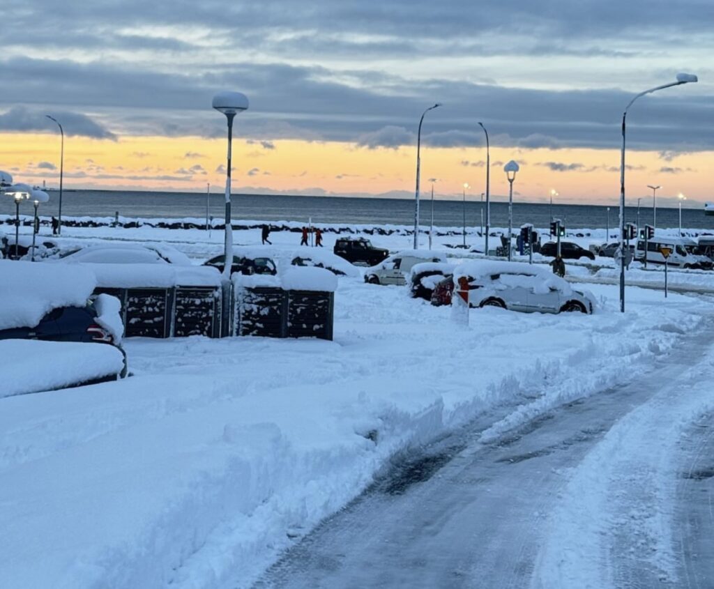 Neve Reykjavík
