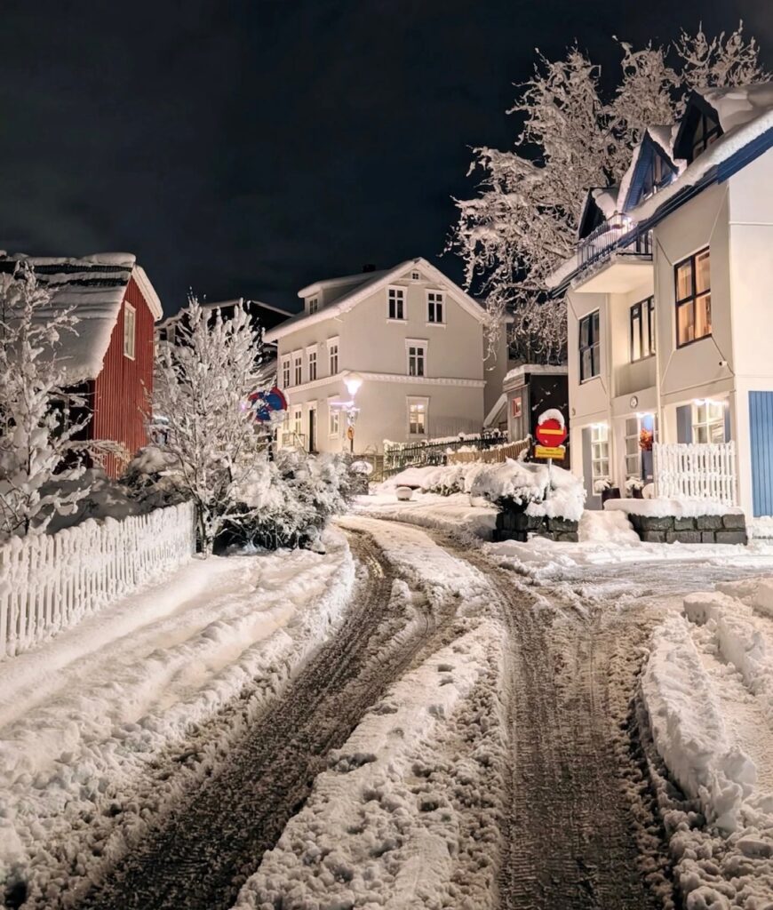 Neve Reykjavík