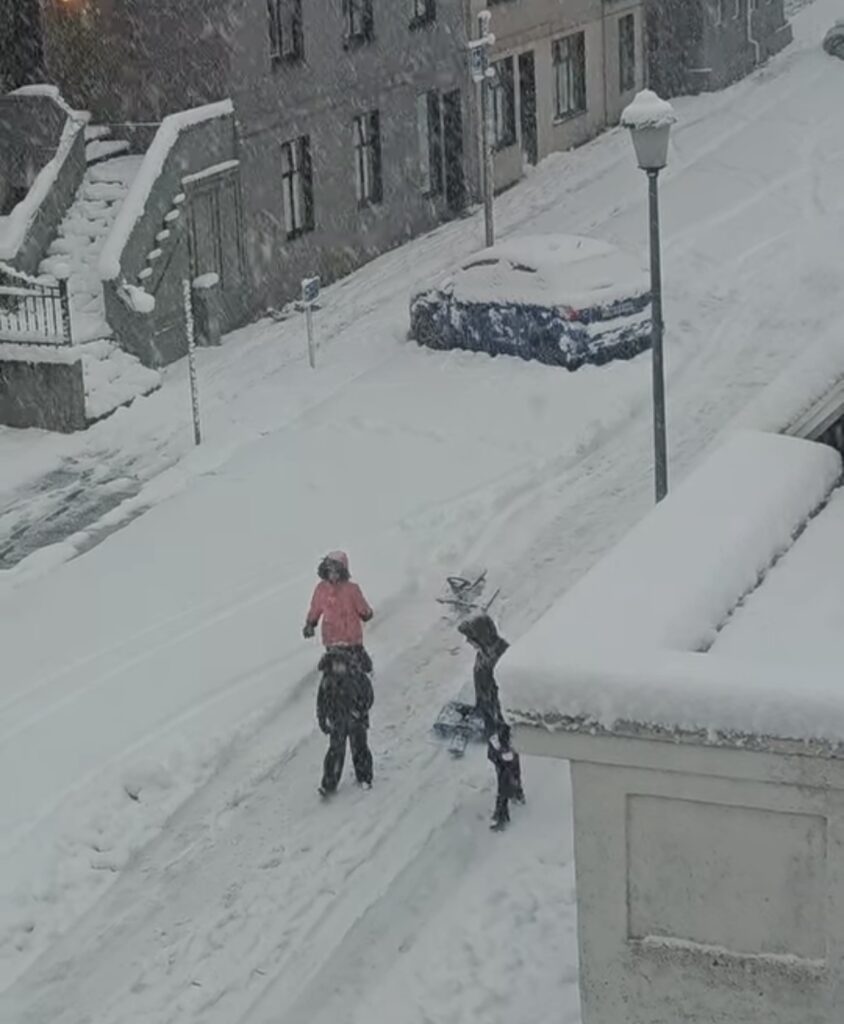 Neve Reykjavík