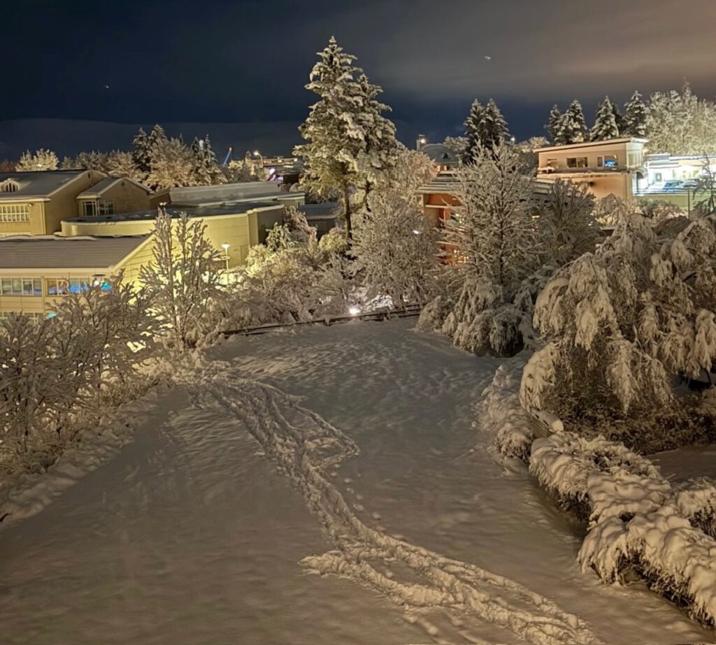 Neve Reykjavík