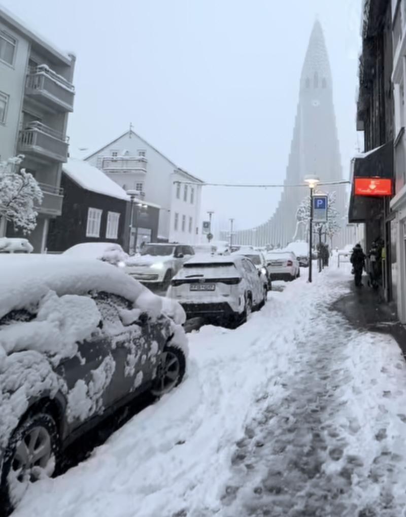 Neve Reykjavík