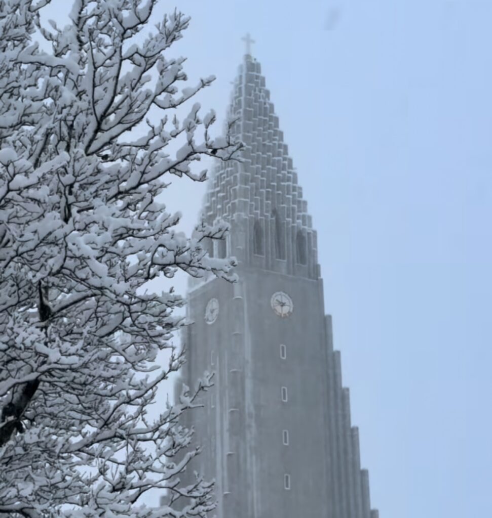 Neve Reykjavík