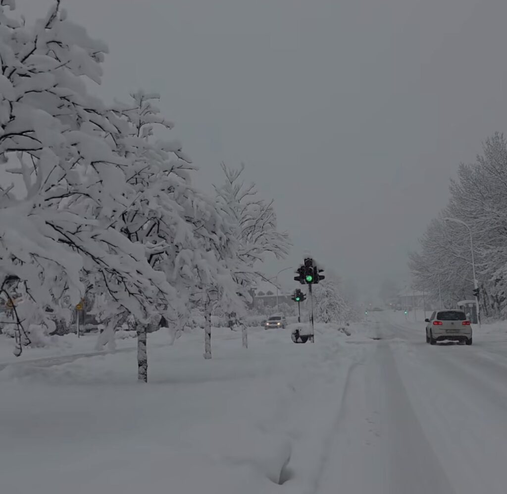 Neve Reykjavík