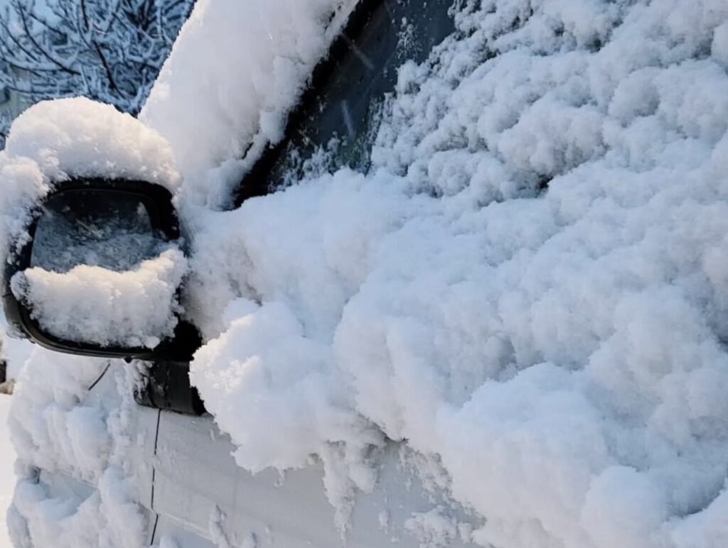 Neve Reykjavík