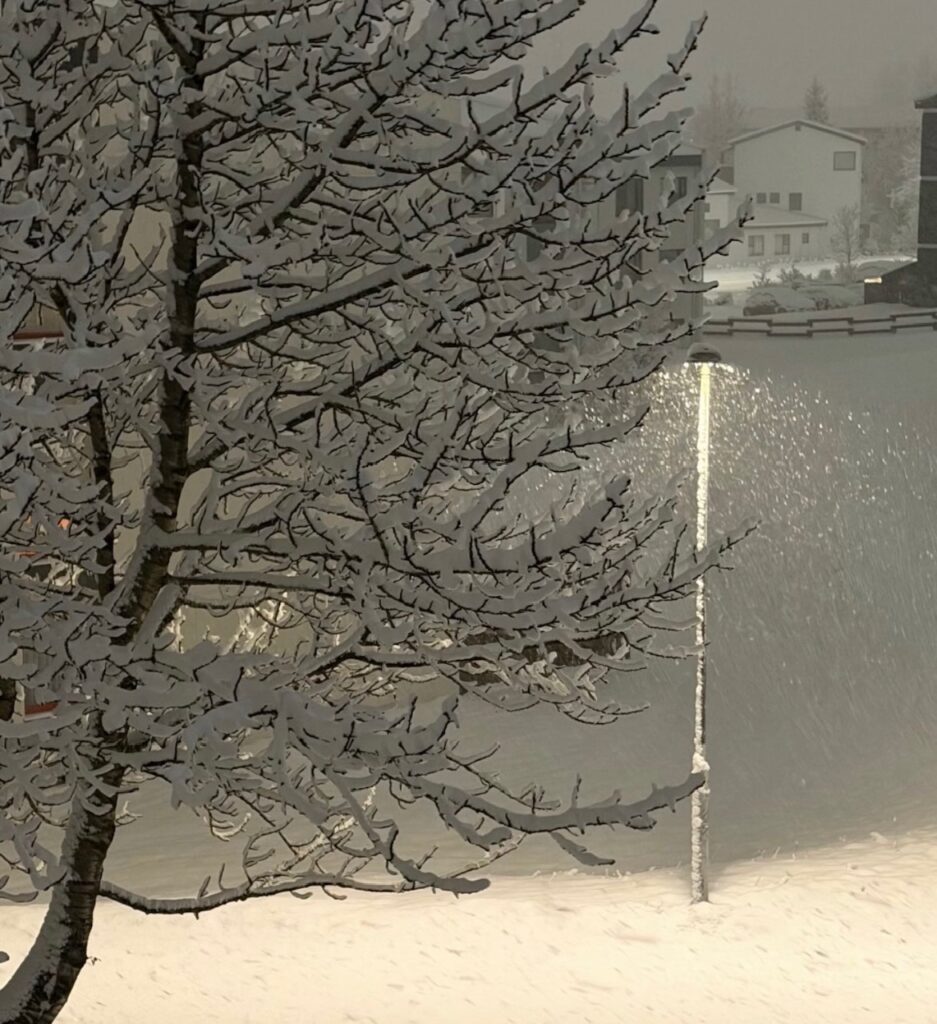 Neve Reykjavík