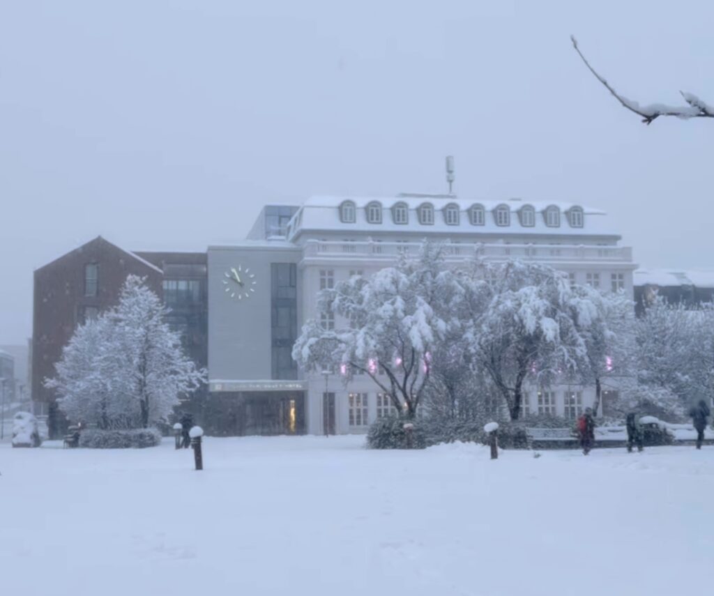 Neve Reykjavík