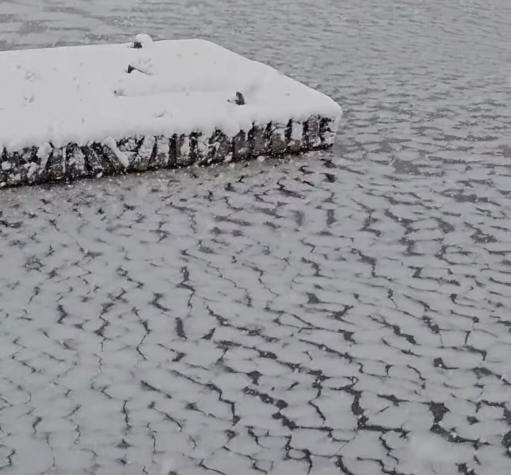 Neve Reykjavík