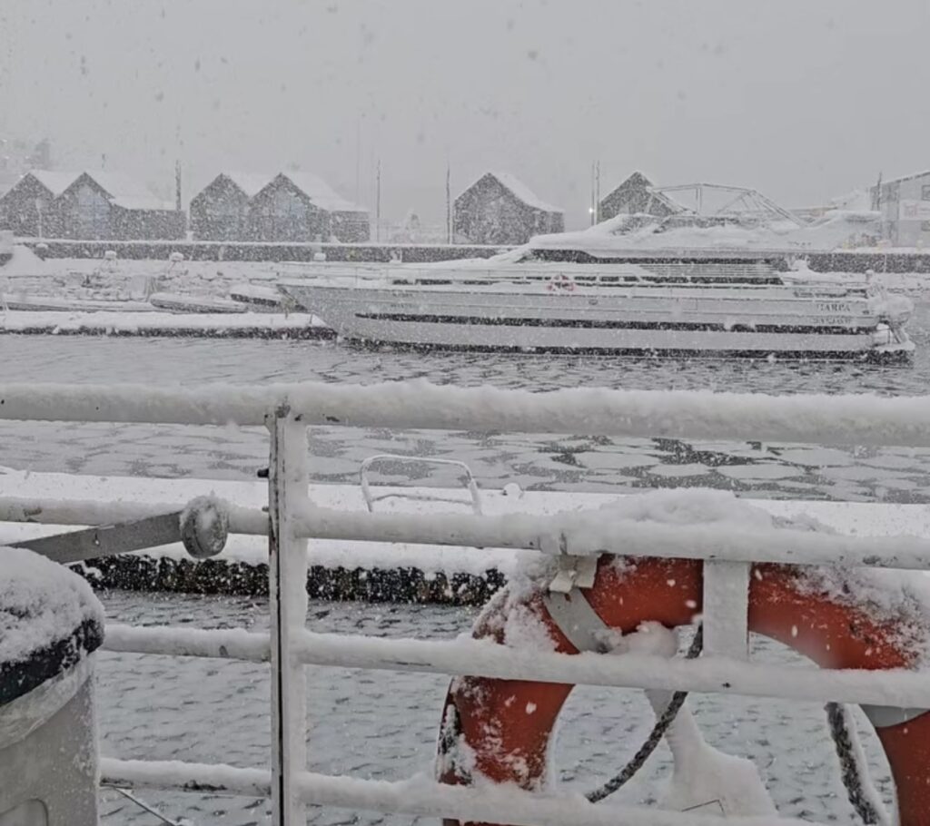 Neve Reykjavík