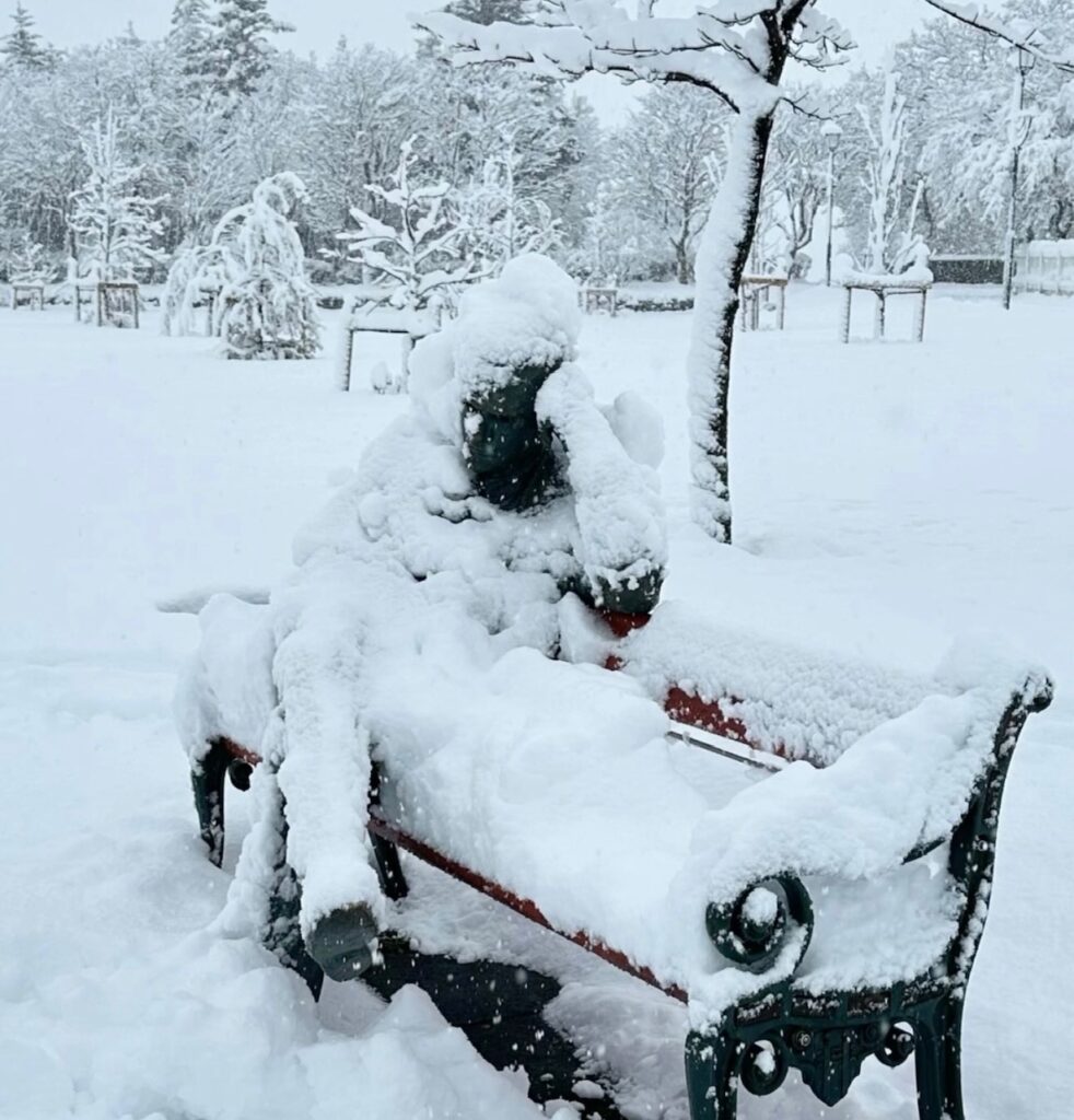 Neve Reykjavík