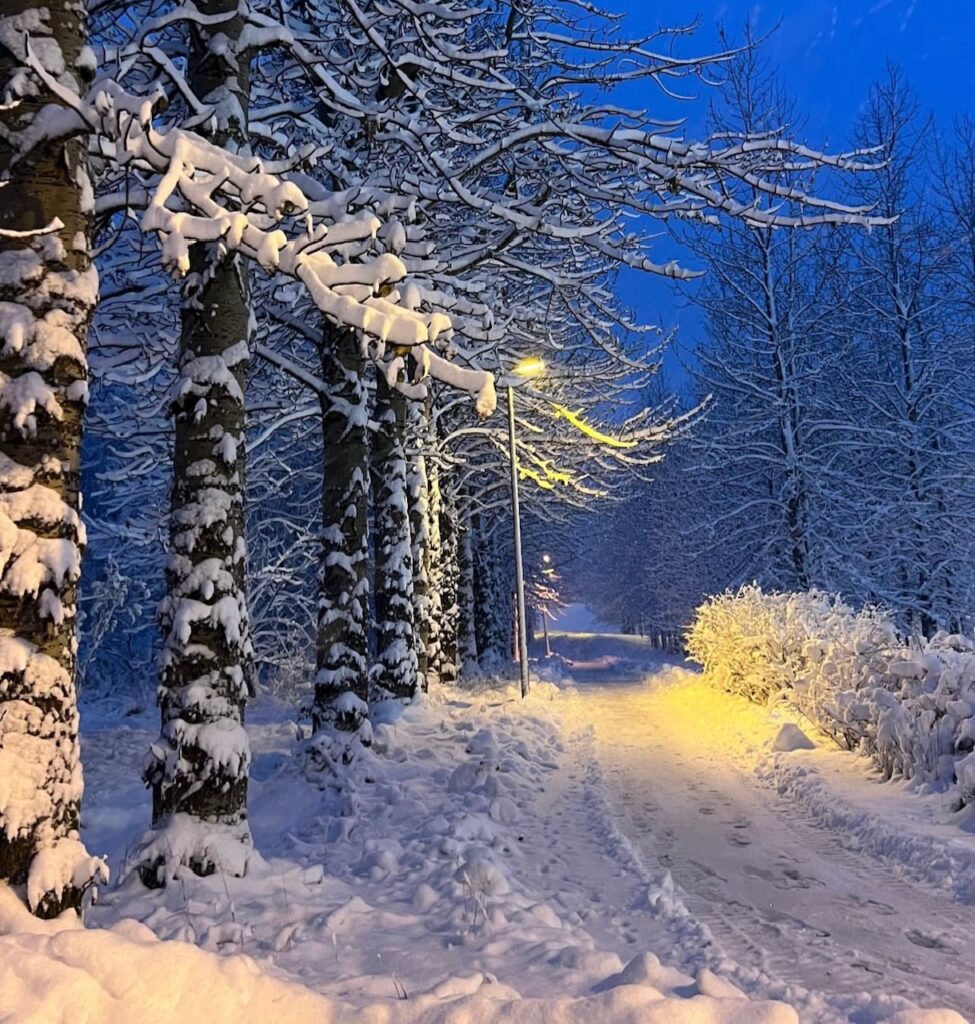 Neve Reykjavík