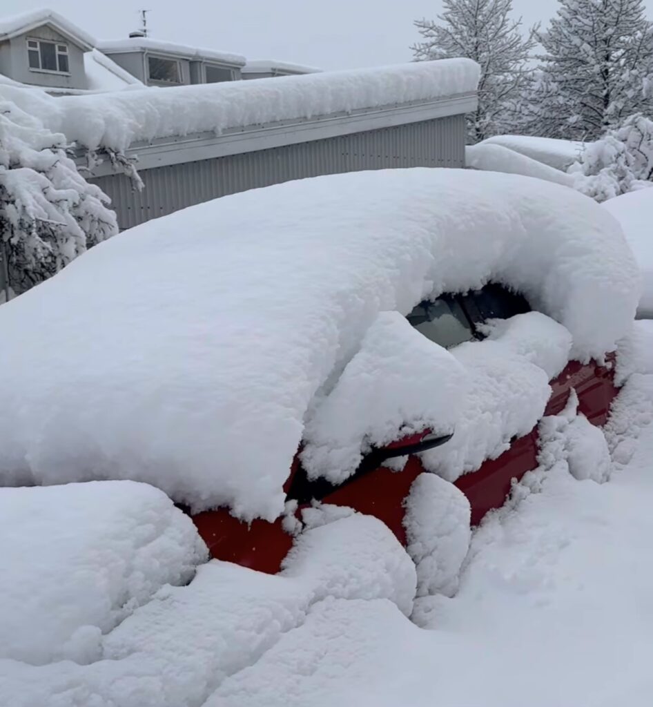 Neve Reykjavík