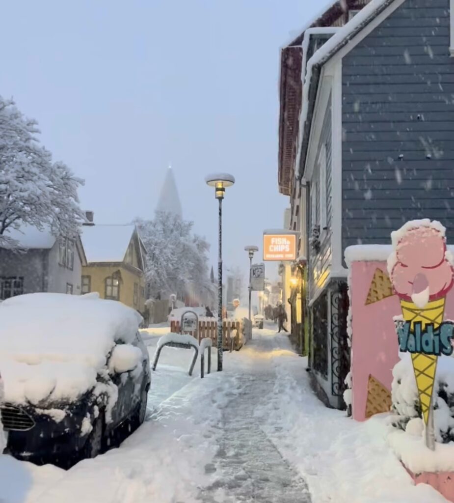 Neve Reykjavík