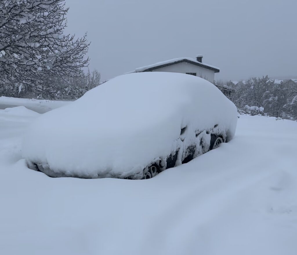Neve Reykjavík