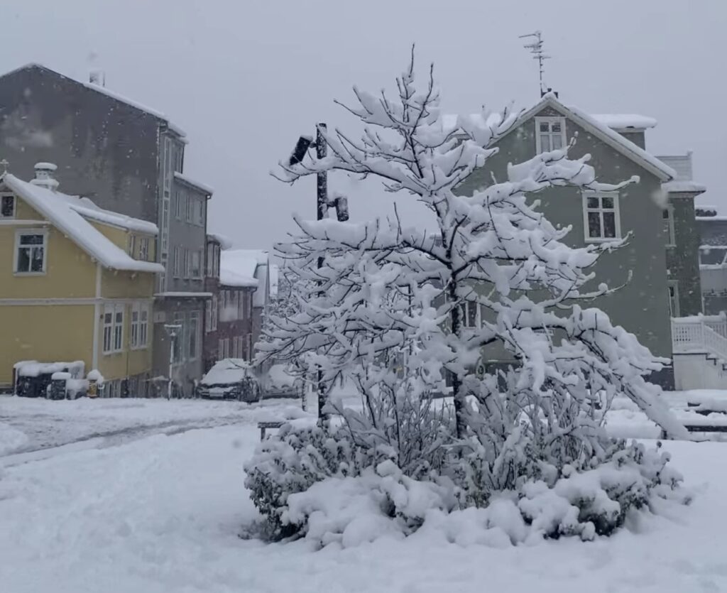 Neve Reykjavík