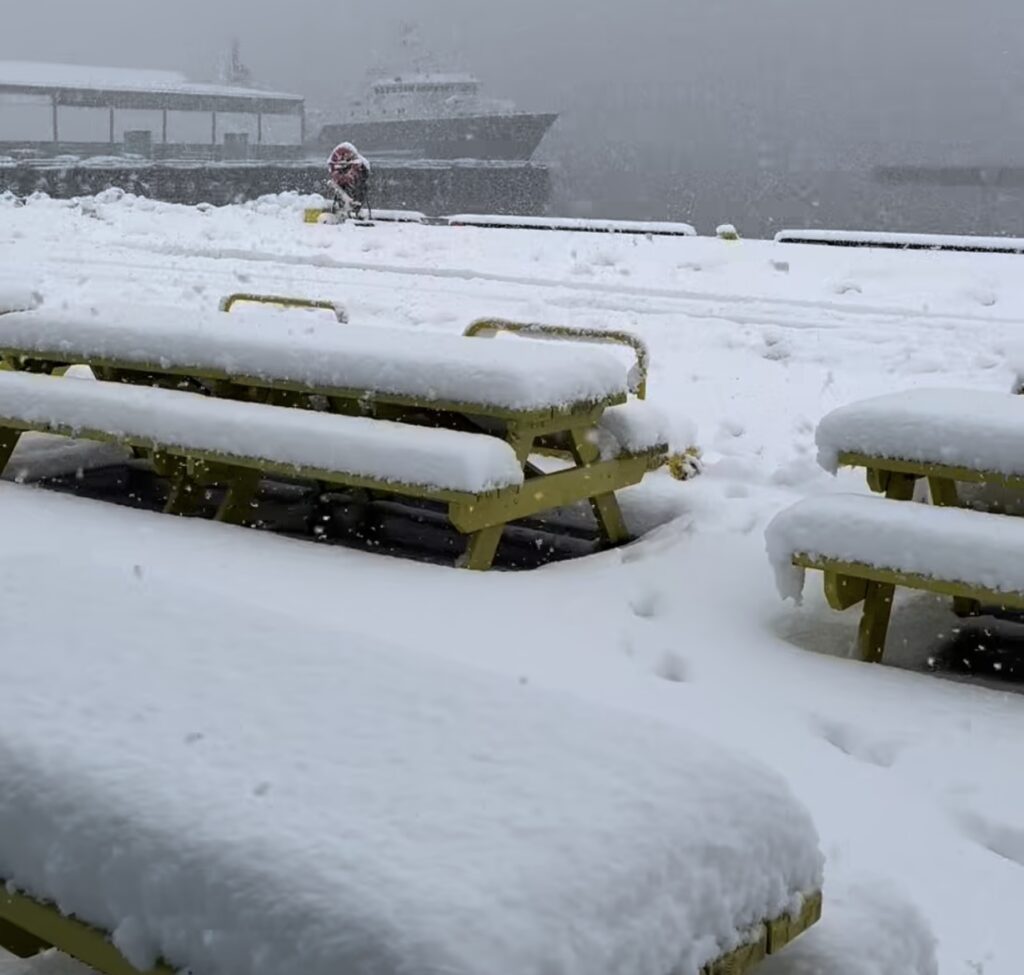 Neve Reykjavík