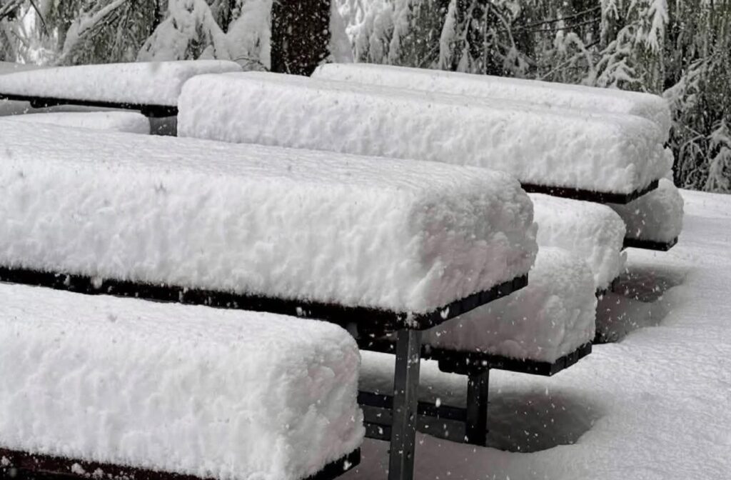 Neve Slovenia