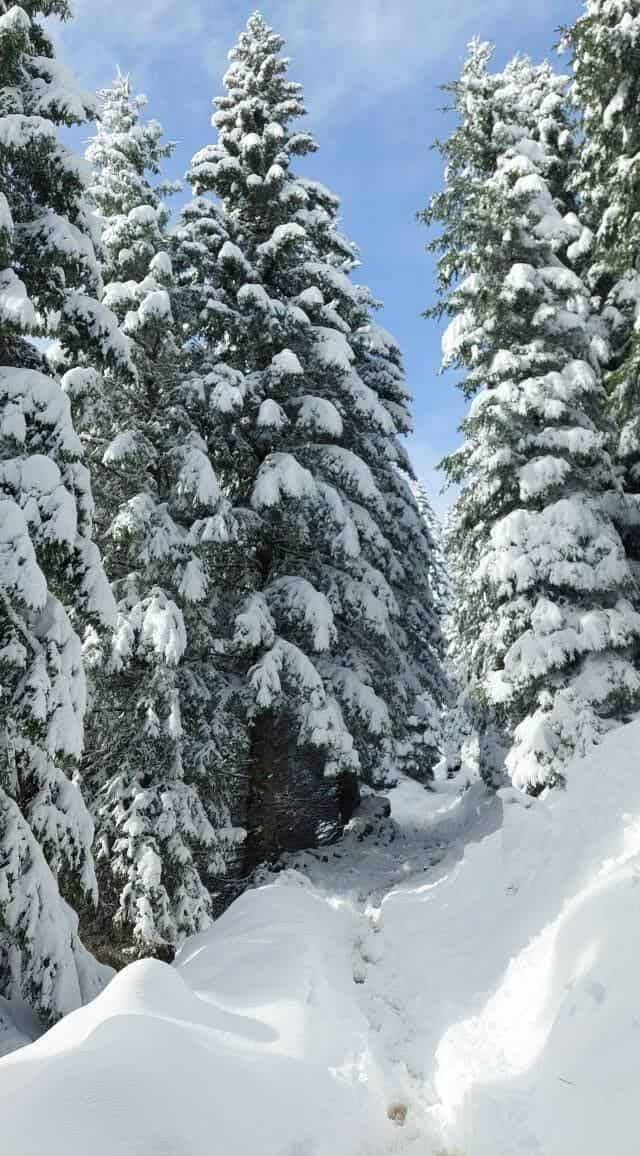 Neve Slovenia