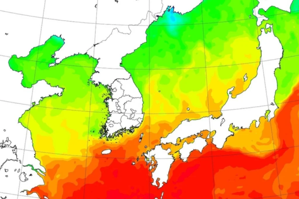 Notti tropicali Corea del Sud