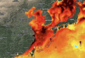 Ondata di calore marina Cina e Corea
