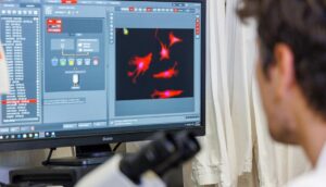 Rigenerare la cartilagine studio italiano apre scenari innovativi per la cura dell’osteoartrosi
