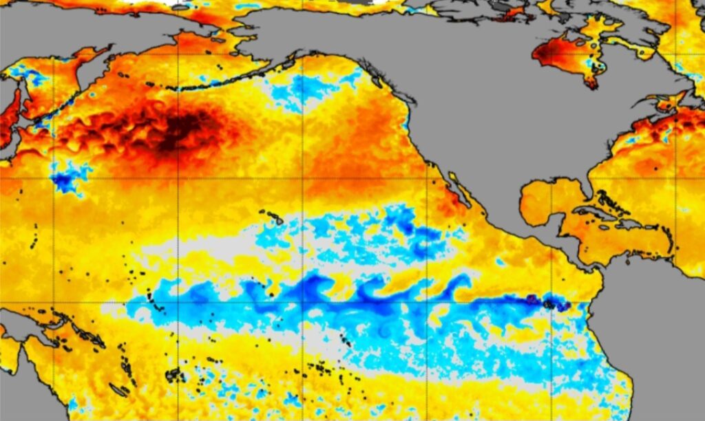 SST Alaska la Niña