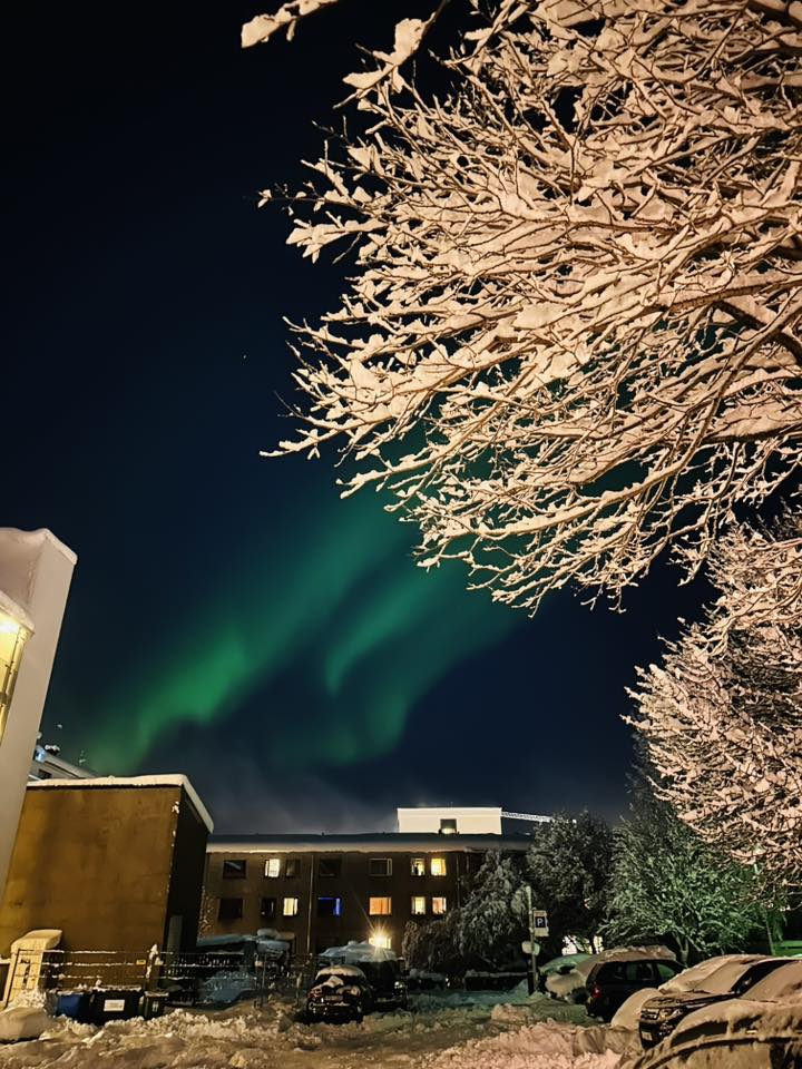 aurora boreale islanda