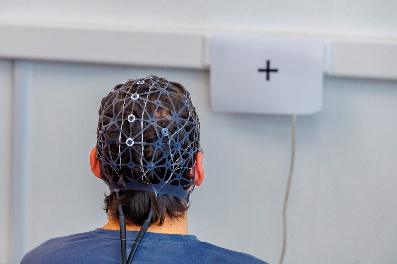 centro ricerche neurali asi