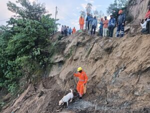 frana india Himachal Pradesh