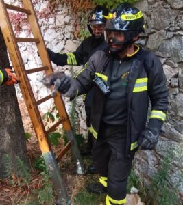 gattino vigili del fuoco