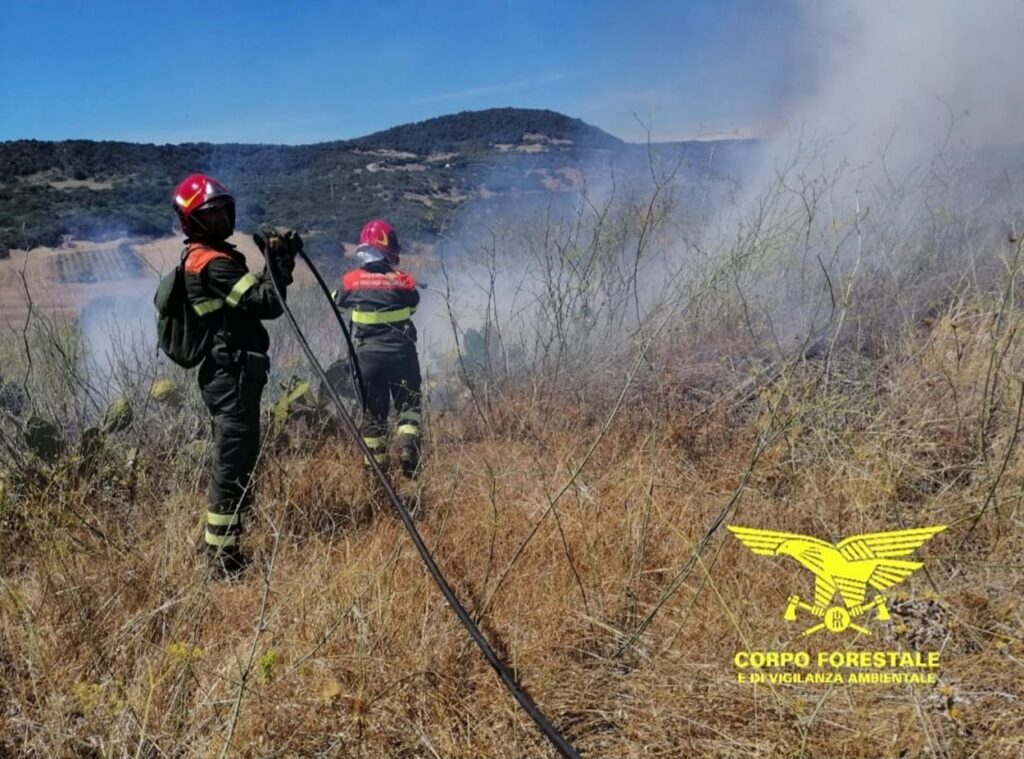 incendi sardegna