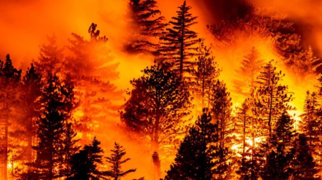 incendio stati uniti