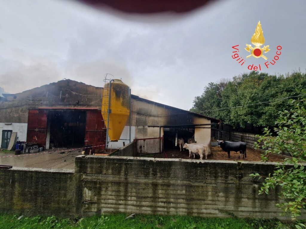 maltempo incendio catanzaro calabria