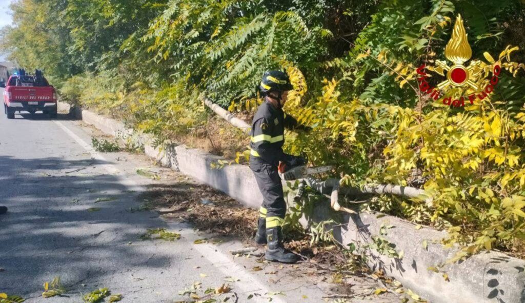 maltempo vigili fuoco albero vento