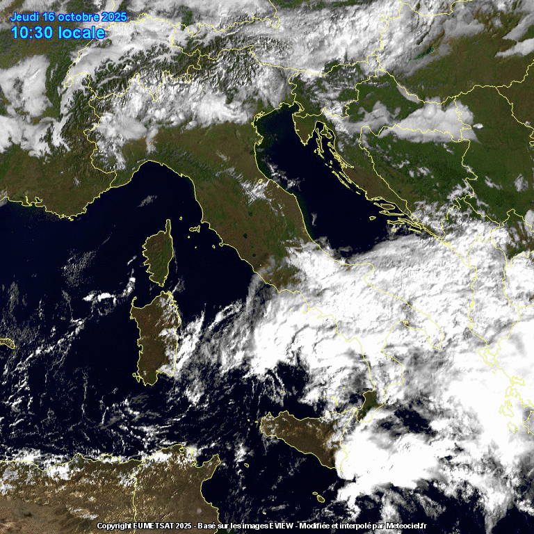 mcs oggi