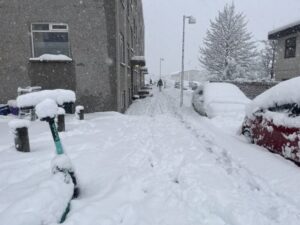 neve Reykjavík