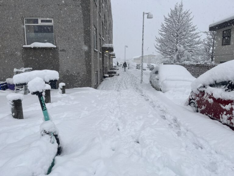 neve Reykjavík