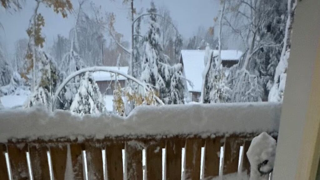 neve canada