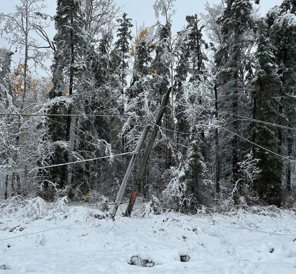neve canada