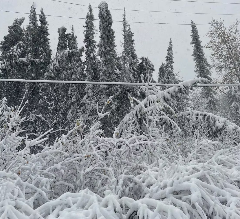 neve canada
