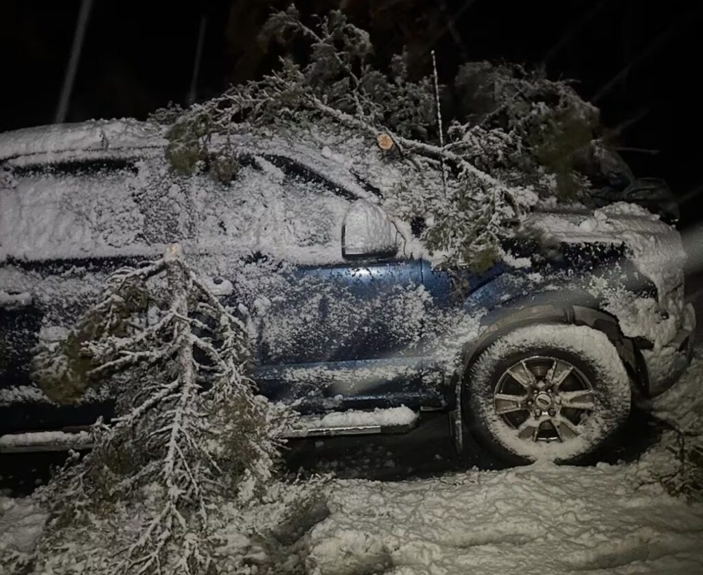 neve canada