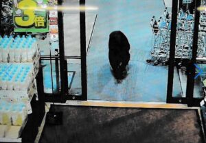 orso supermercato giappone